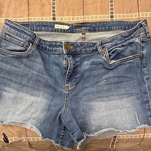 Kut from the Kloth Gidget Frey Size 18 Blue Denim Shorts
